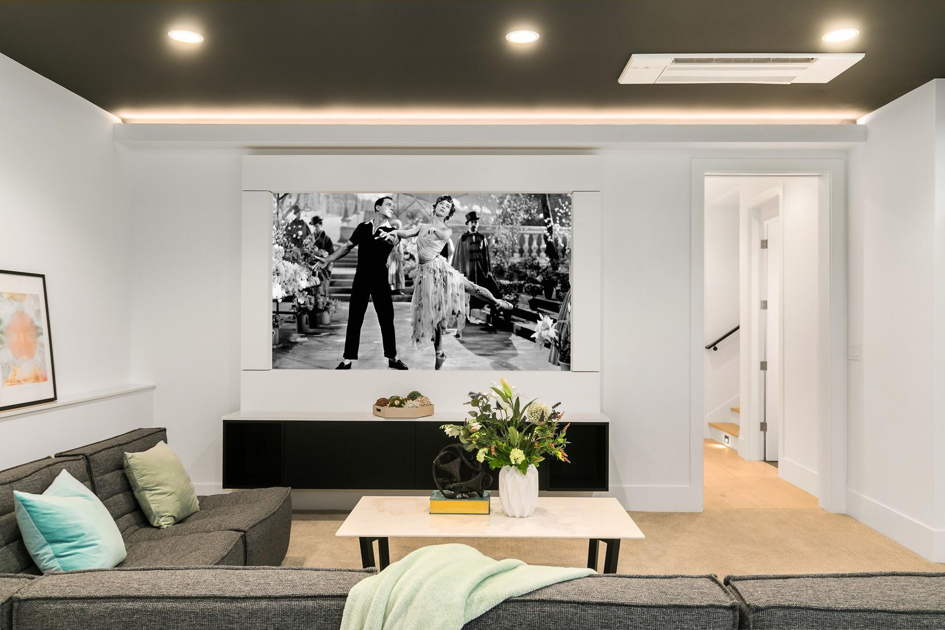 Basement media room - Kirkland Slim not Shady